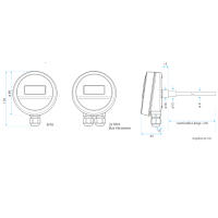 OPP-SENS&reg; Tauchtemperatur-Transmitter T-TC5P-I-250